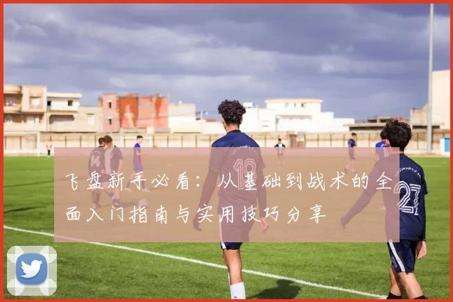飞盘新手必看：从基础到战术的全面入门指南与实用技巧分享