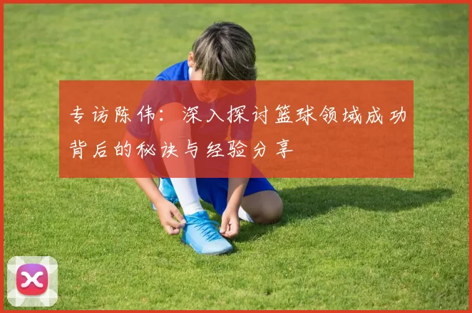 专访陈伟：深入探讨篮球领域成功背后的秘诀与经验分享