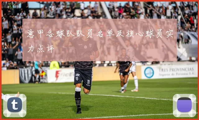 意甲各球队队员名单及核心球员实力点评