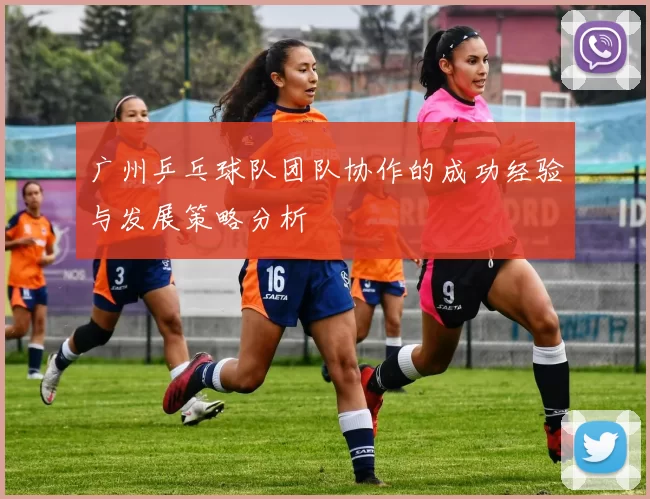 广州乒乓球队团队协作的成功经验与发展策略分析