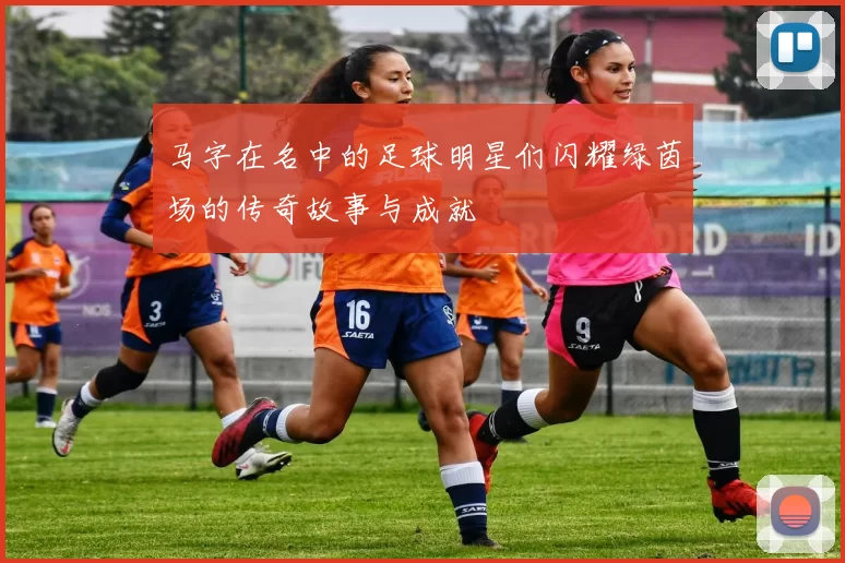 马字在名中的足球明星们闪耀绿茵场的传奇故事与成就