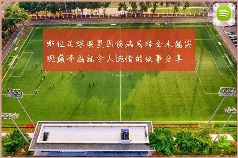 哪位足球明星因伤病或转会未能实现巅峰成就令人惋惜的故事分享