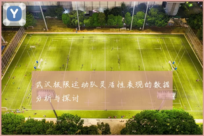 武汉极限运动队灵活性表现的数据分析与探讨