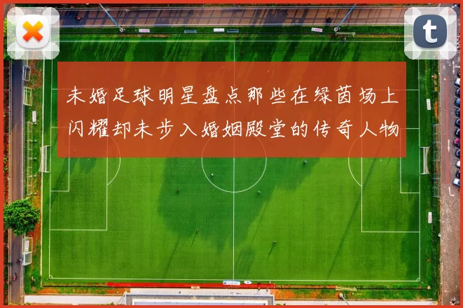 未婚足球明星盘点那些在绿茵场上闪耀却未步入婚姻殿堂的传奇人物