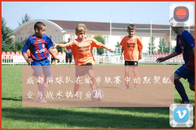 成都排球队在城市联赛中的默契配合与战术执行分析