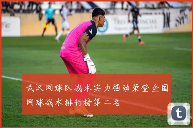 武汉网球队战术实力强劲荣登全国网球战术排行榜第二名