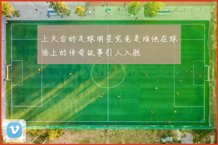 上天台的足球明星究竟是谁他在球场上的传奇故事引人入胜