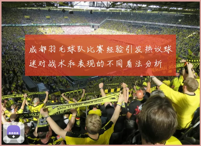 成都羽毛球队比赛经验引发热议球迷对战术和表现的不同看法分析
