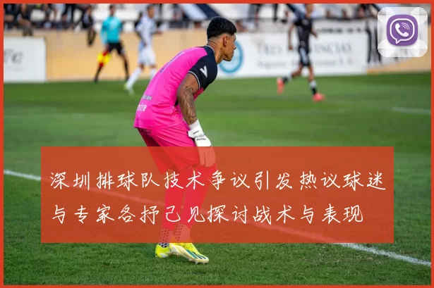 深圳排球队技术争议引发热议球迷与专家各抒己见探讨战术与表现