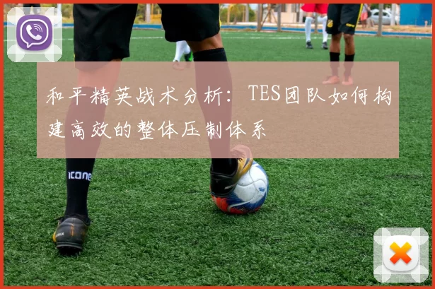 和平精英战术分析：TES团队如何构建高效的整体压制体系