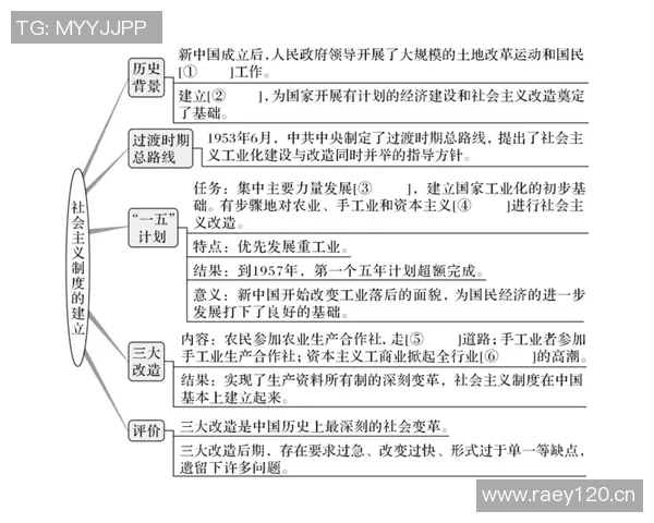 重庆篮球队的控制革新探索与发展路径分析