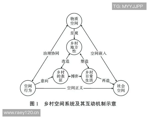 大阪体育大学创新发展与体育教育融合路径研究与探索