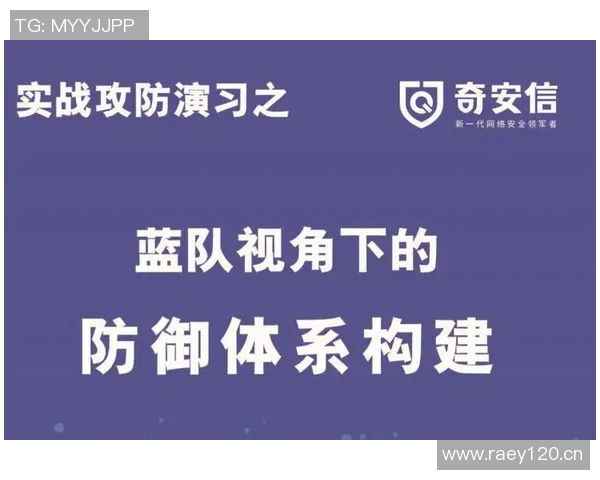 南京攀岩队防守体系解析与战术运用探讨